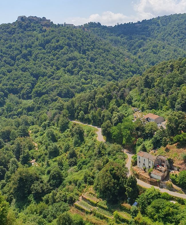Hier gibt es Wald, im Gegensatz zum Norden und Westen.