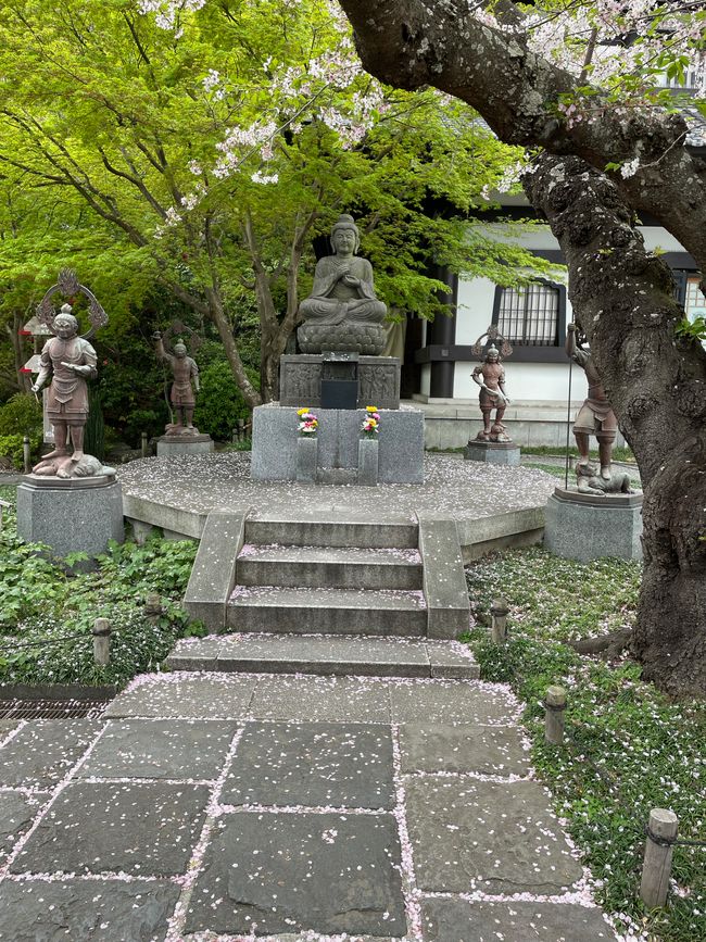 Kamakura-Freitag-11.04.25