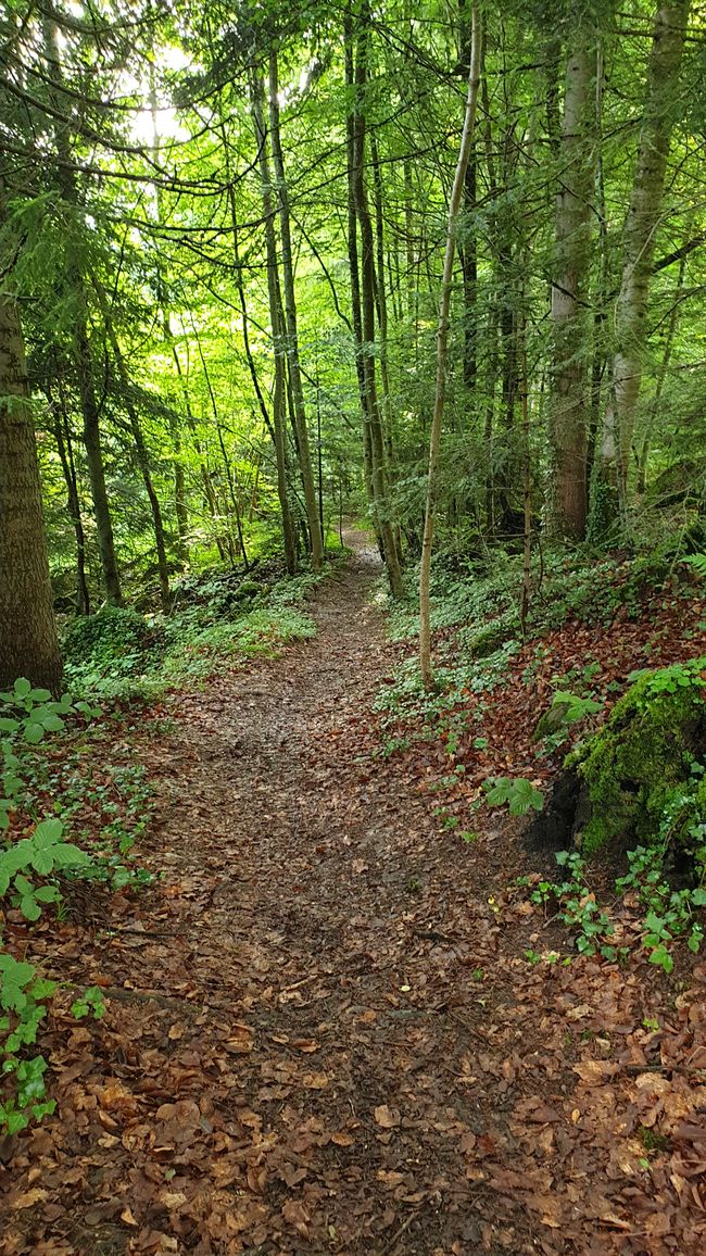 Krattigen Schweiz