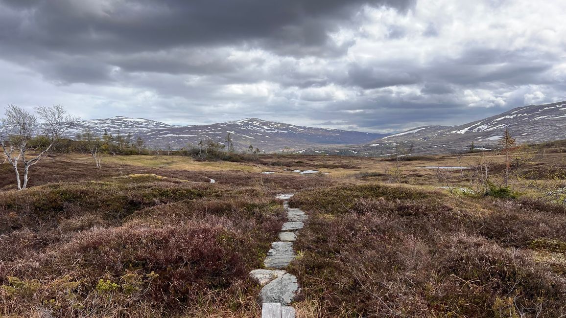 Borgefjell Nasjonalpark