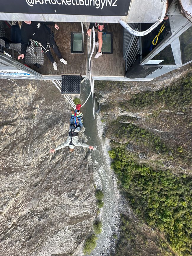 Bungy 