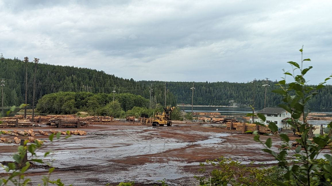 Day 11: Strathcona PP - Telegraph Cove - Alder Bay