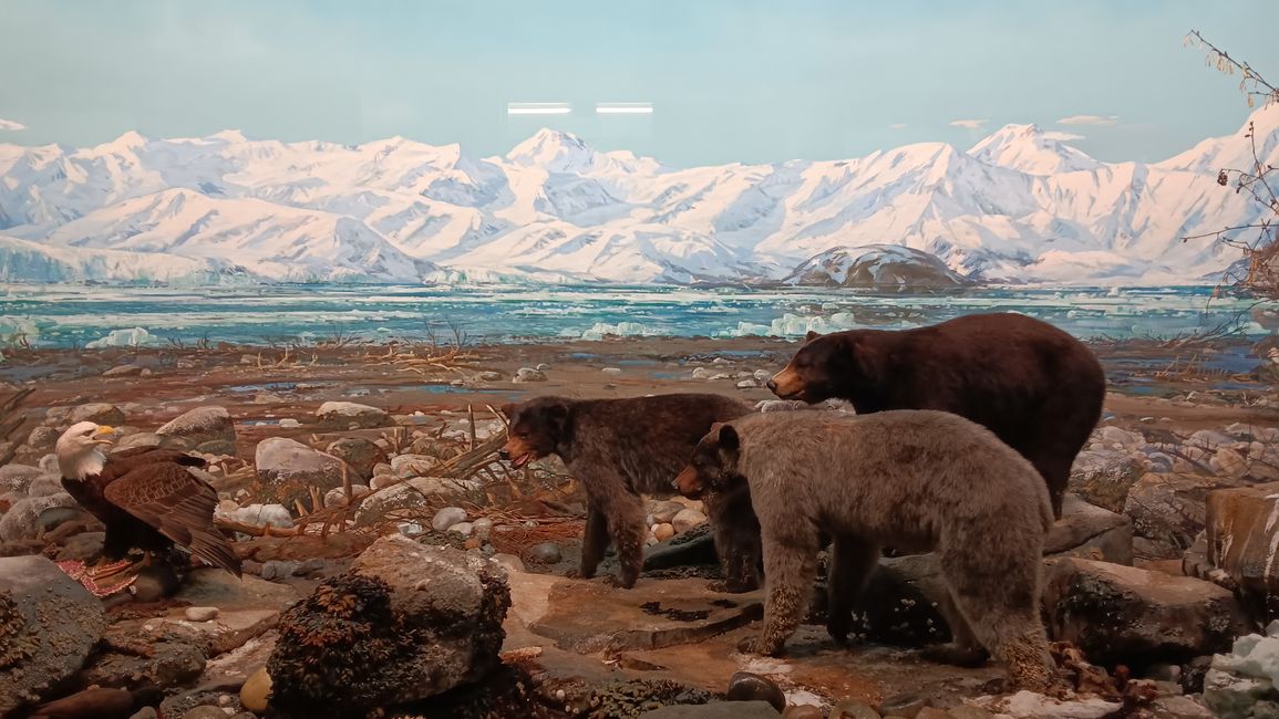 Museum of natural history I