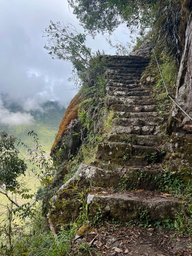 👷‍♂️标签 31-1 (3.11.) 马丘比丘，登上惠纳比丘山