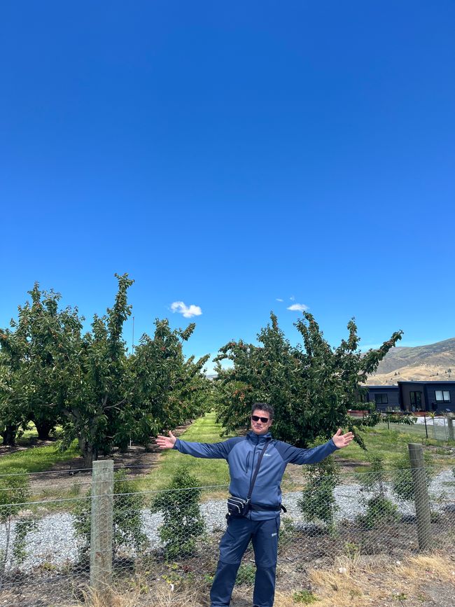 Arrowtown 🏅