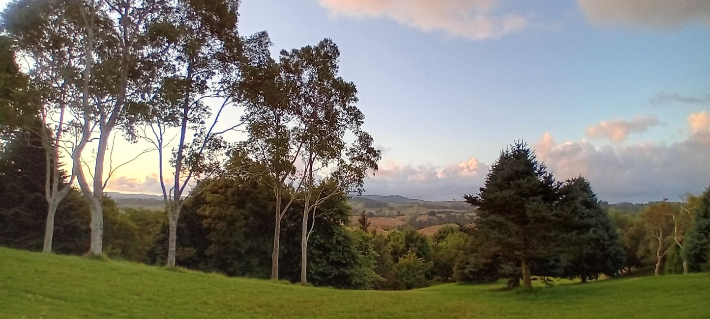 Tauranga