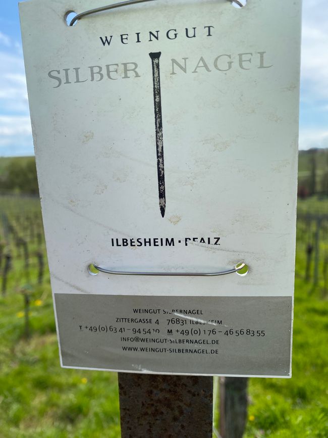 Silbernagel heißt dieses Weingutt