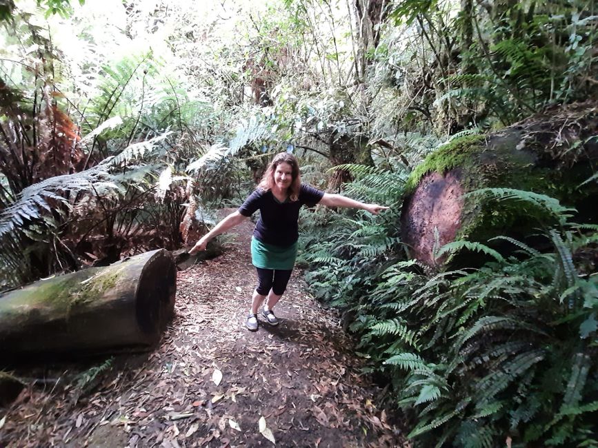 22_OHAKANE ET BALADES EN FORÊT