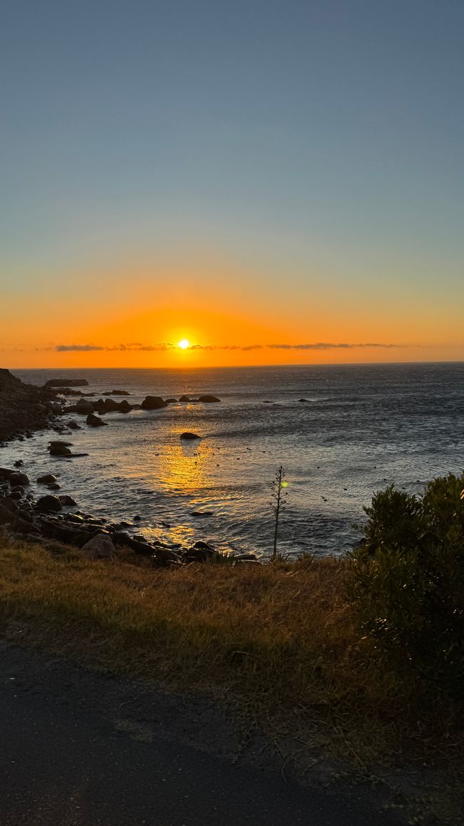 Tour del porto a Città del Capo, Spiaggia di Muizenberg, Spiaggia di Boulders, Capo di Buona Speranza