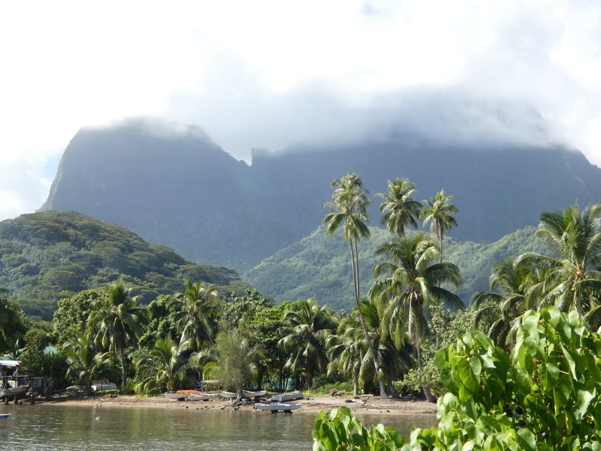 Mo orea