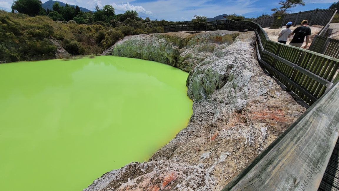 In Wai-O-Tapu National Park and at Lady Knox