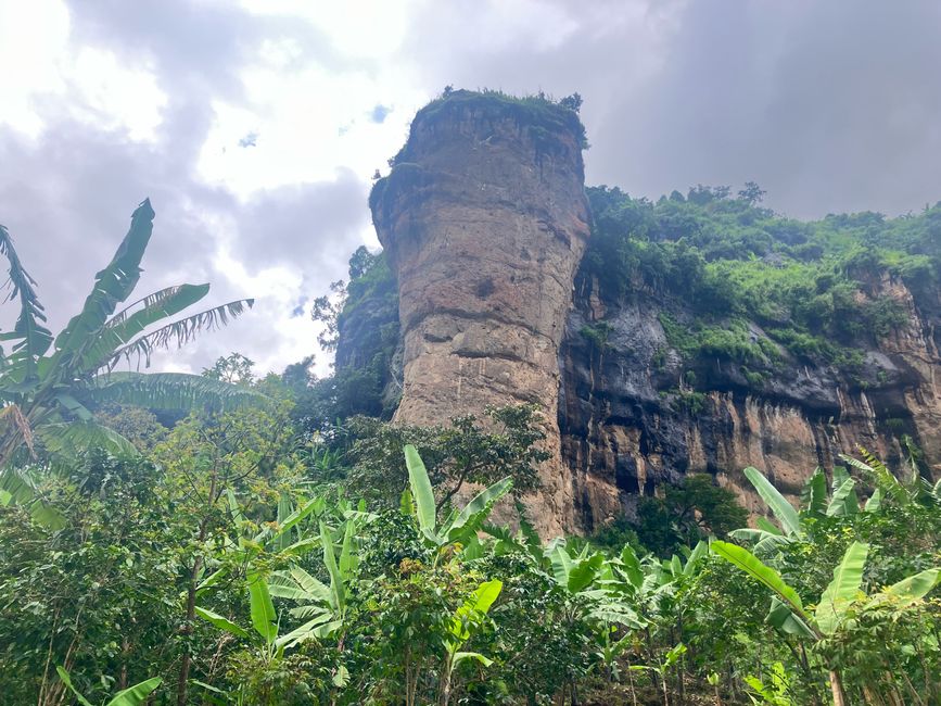 El Este en el Monte Elgon