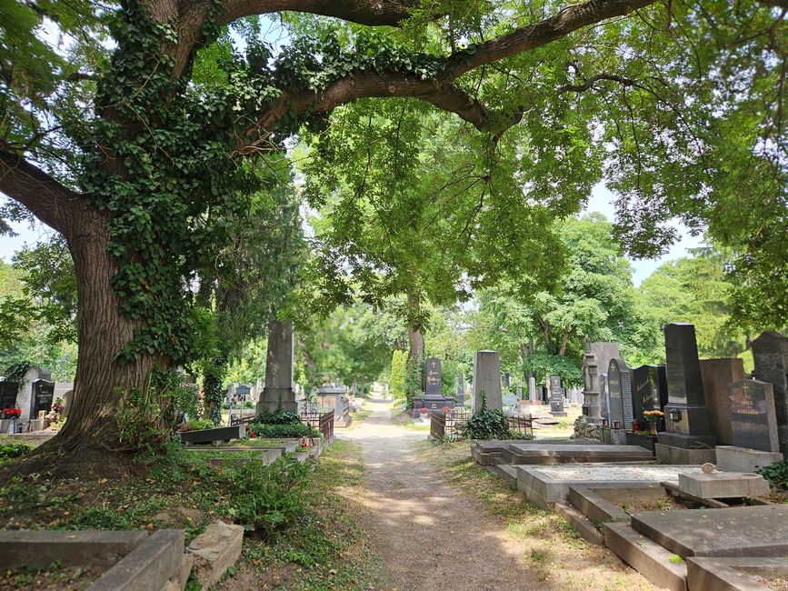 Juillet 2025 - Vienne - Cimetière central de Vienne
