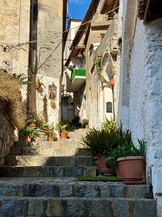 Scalea