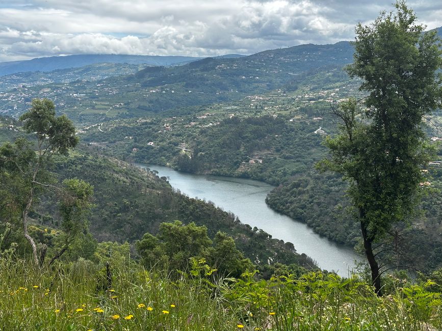 Das Douro Tal