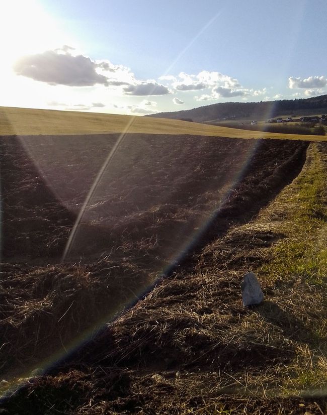 Wir bauen ein Fundament - Horizonte entdecken, Werte checken