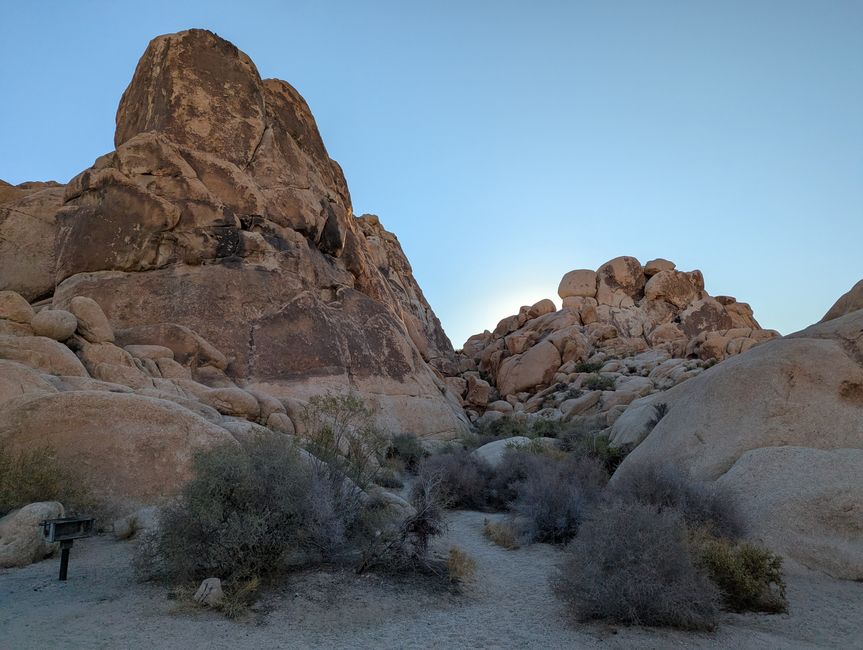 Joshua Tree