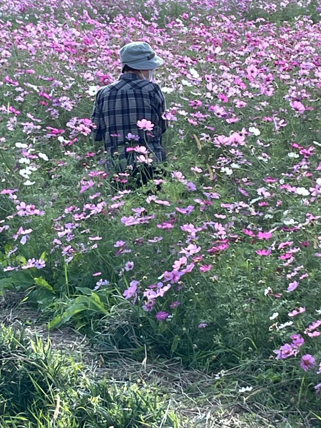 4.Kapitel: Ein bisschen vorzeitig ins Paradies