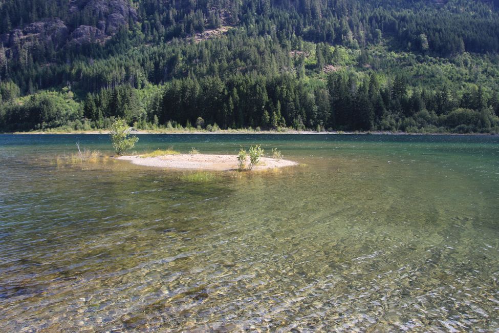 Buttle Lake Beach Trail