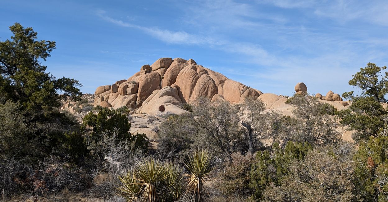 USA - Las Vegas and more ...   road trip 2025