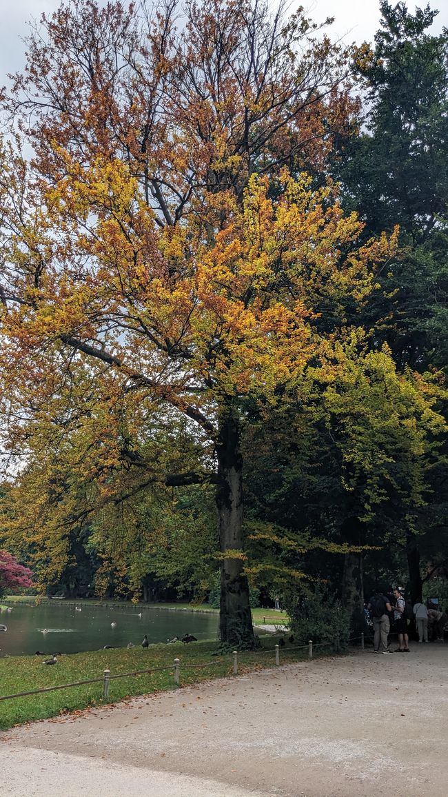 München ich komme