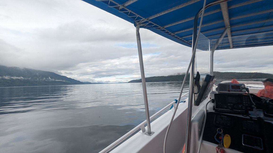 Tour de Observación de Ballenas de Seasmoke