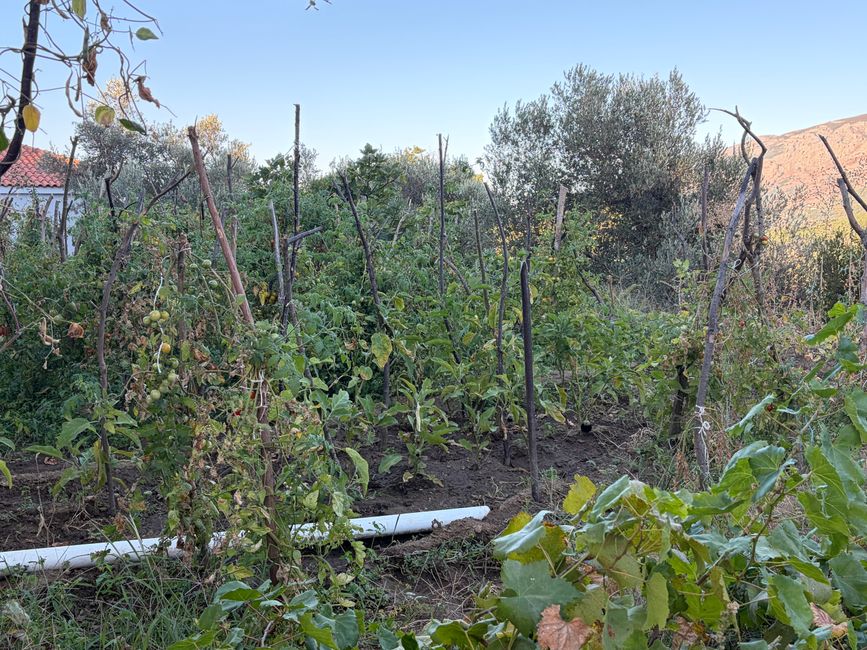 Φτιάξε κρασί (Wein machen)