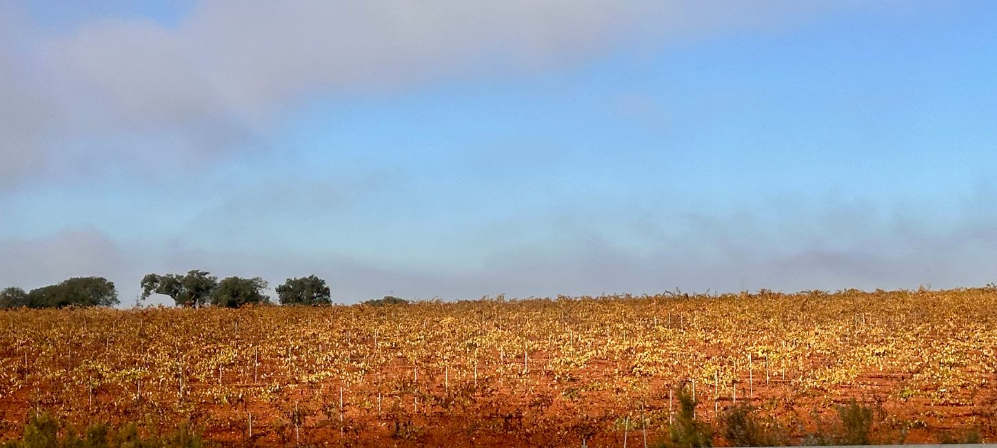 Von Mérida nach Albufeira, Algarve 