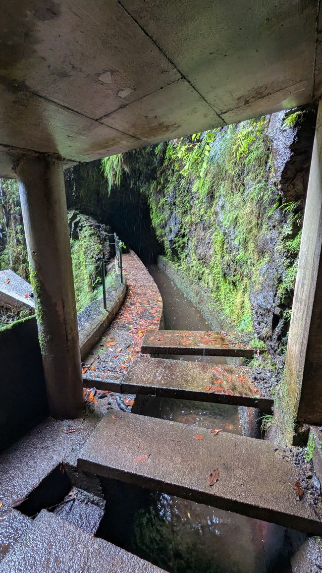 Tag 13: Levada da Ribeira da Janela & Nordwestküste