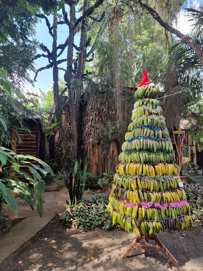 Tansania - Tag 7: Rückreise nach Arusha