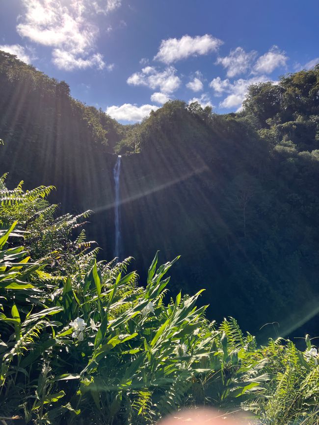 D4 - Helitour Blue Hawaiian helicopter 🚁 Hilo, Akaka waterfalls and Mauna Kea sunset