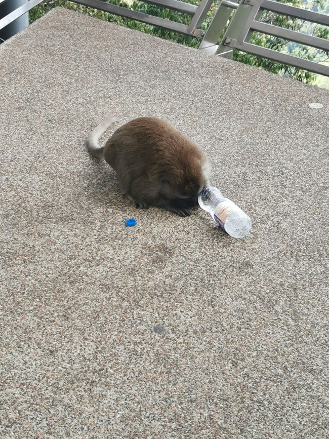 ... und dann schmecken lassen ...