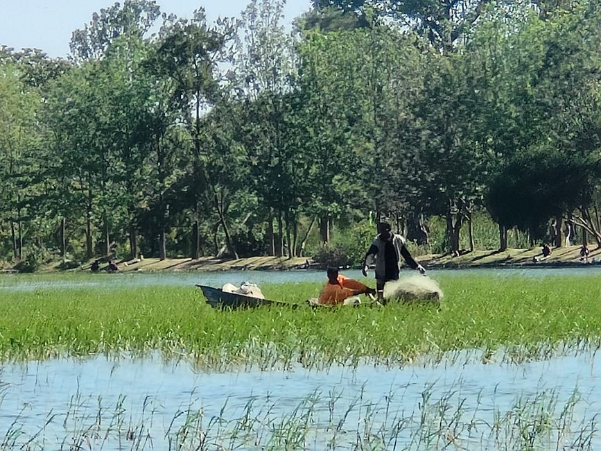 Pescadores locales