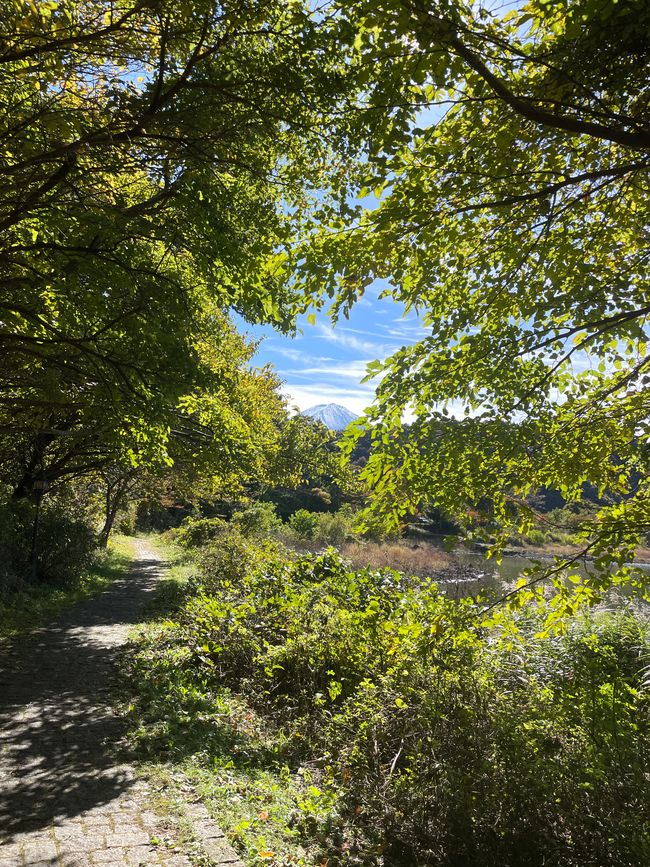 7. Kapitel: Noch ein Tag am Fuji-san, jede Sekunde ist anders