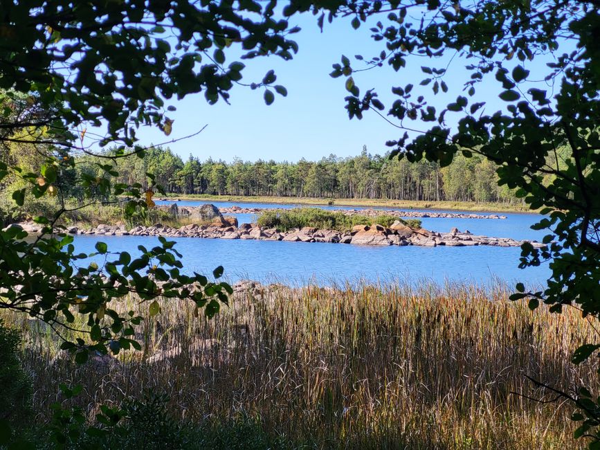 Sentier Toftåsa Moor - Parc national d'Åsnen
