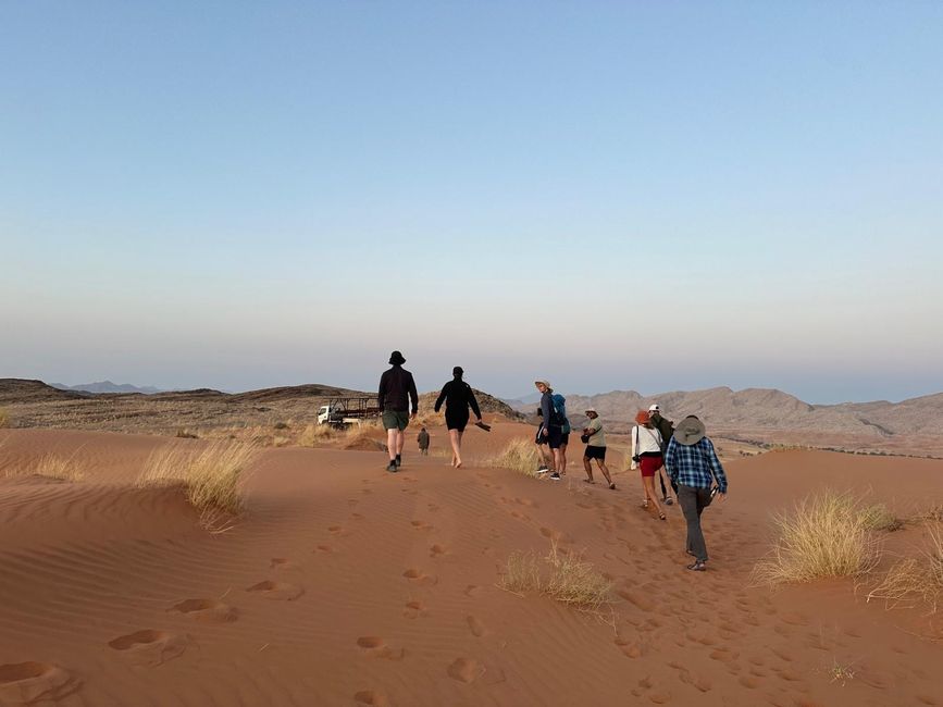 Desierto de Namibia 🏜️