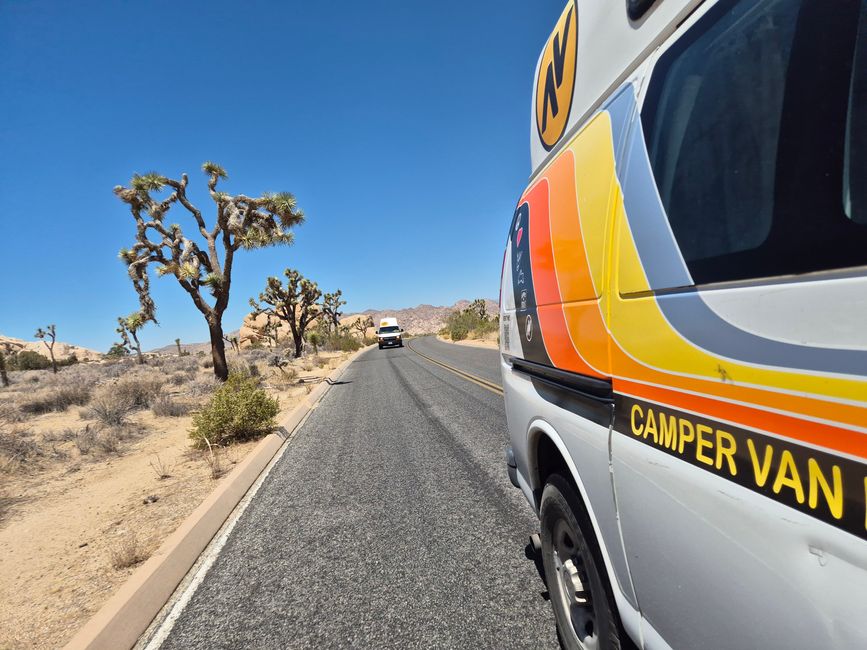 Joshua Tree