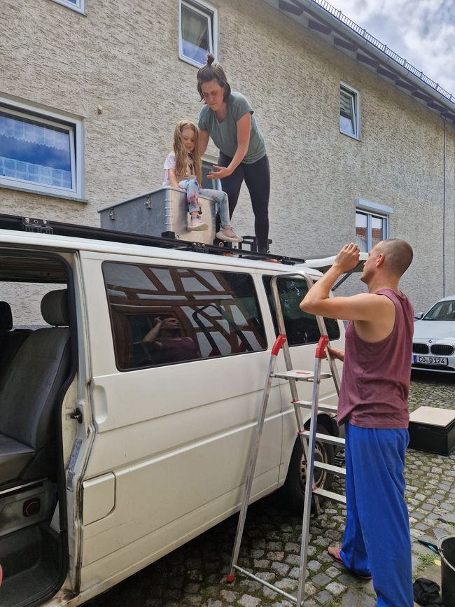 Neuses an den Eichen