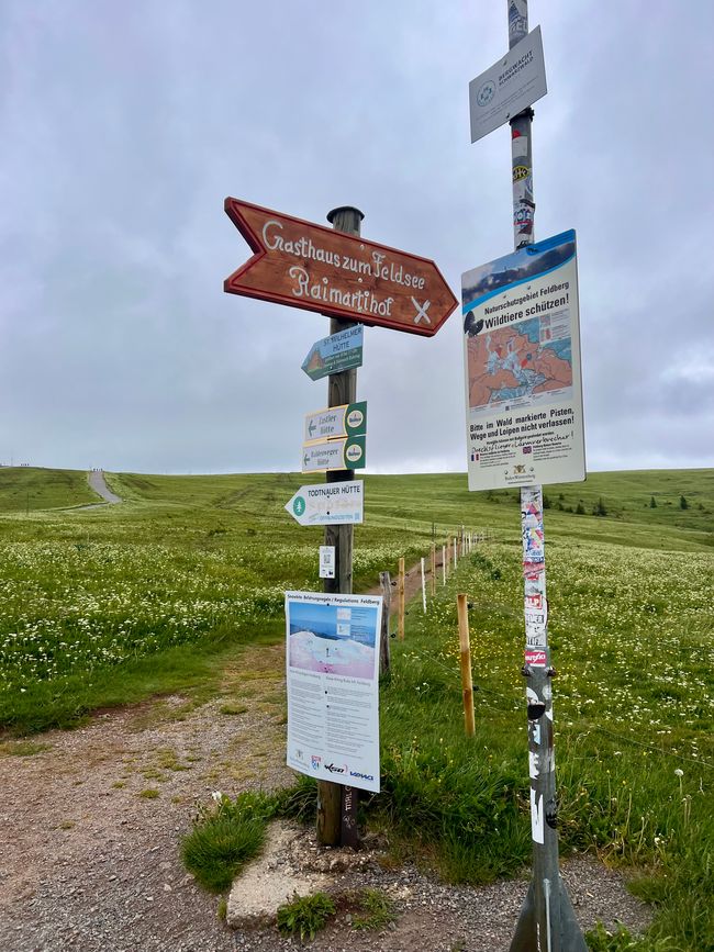 26 Feldbergsteig Escursione Pro Wolermoos