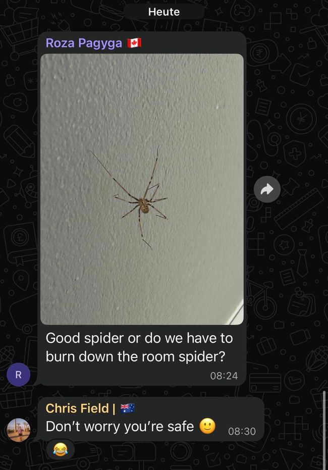 Tiere 🕷️🕷️🕷️