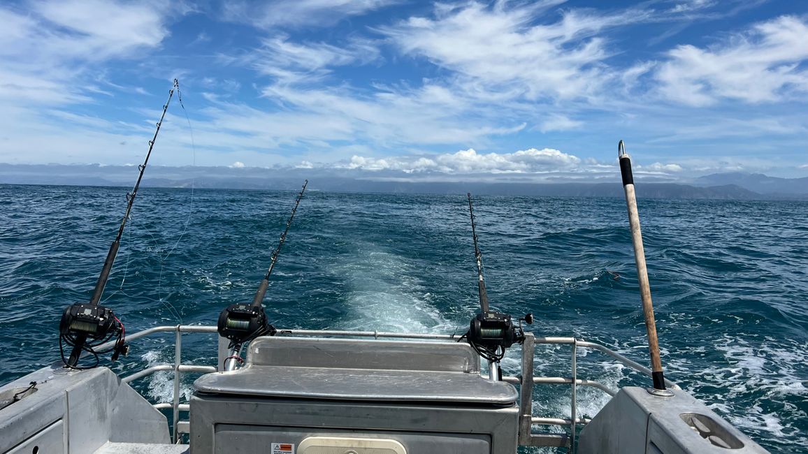 Angelausflug in Kaikoura