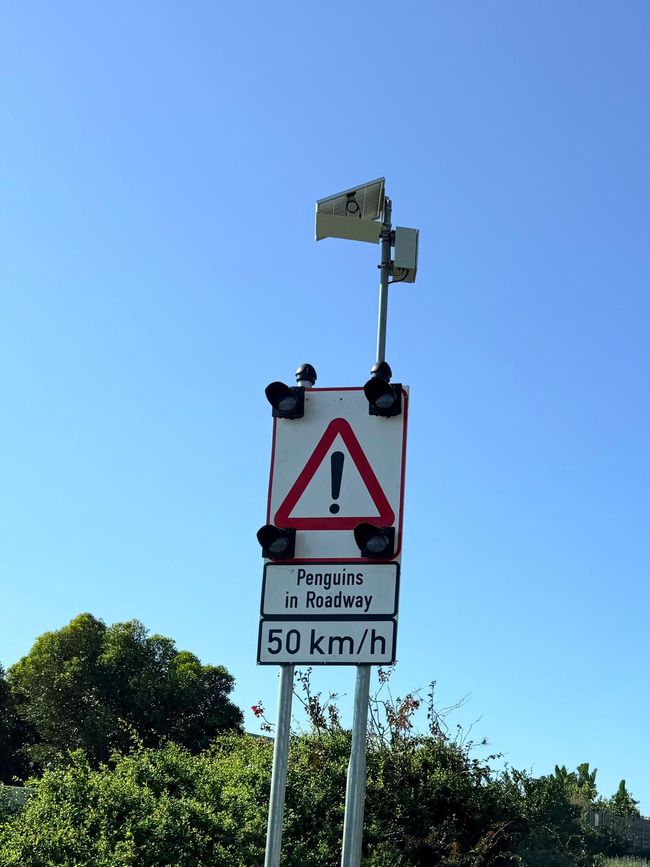 Mit Pinguinen am Ende der Welt