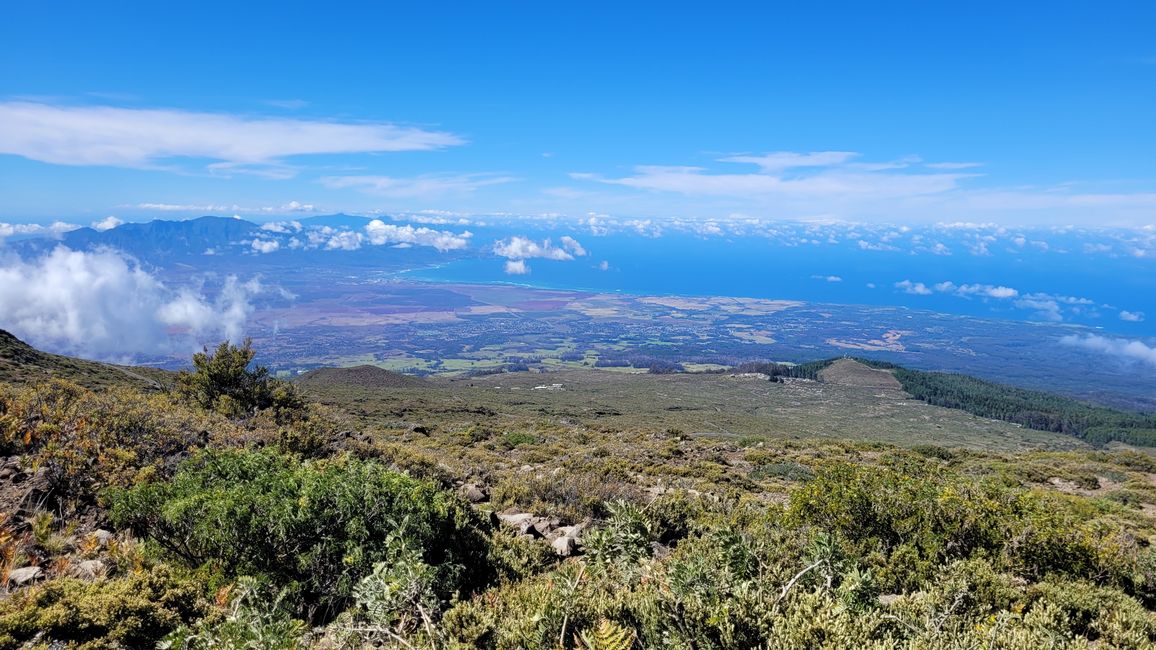 und jetzt geht's hoch zum Haleakala auf 3000 Meter