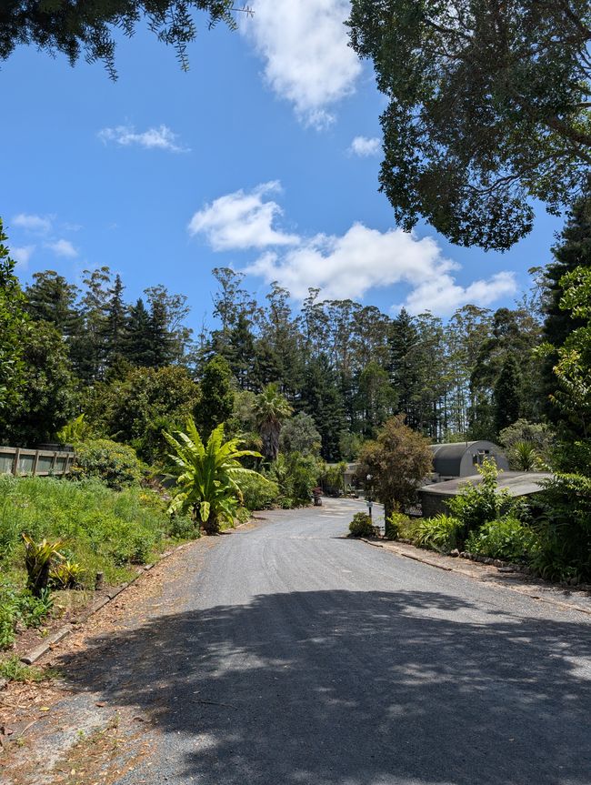 A rainbow doesn't choose to be a rainbow...