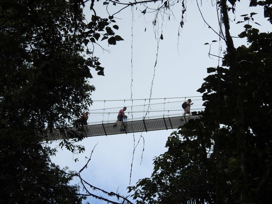 BLOG 10 La Fortuna / Arenal Region:  Hängebrücken und Nachtwanderung