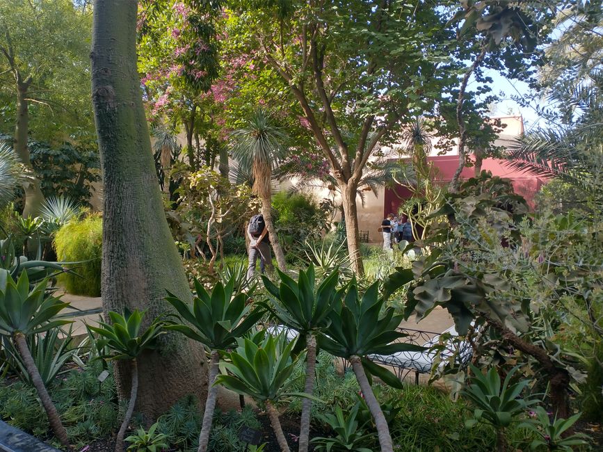 Marrakech (1)
