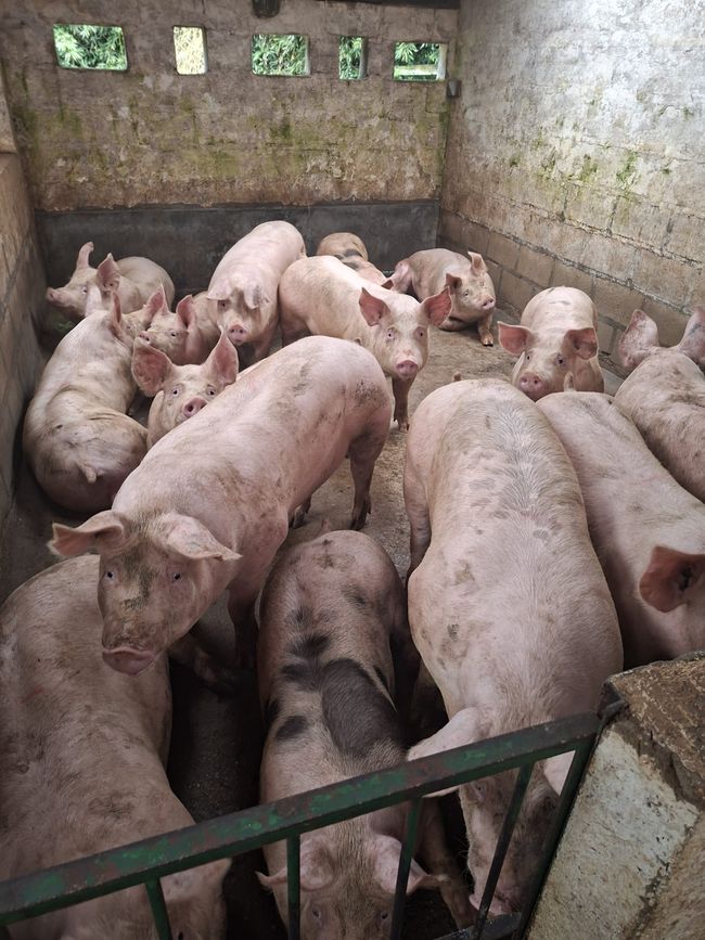 La ferme d'Esteban