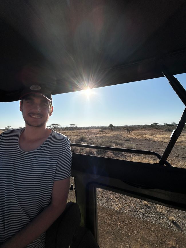 Leoni, elefanti, giraffe e compagnia nel Samburu