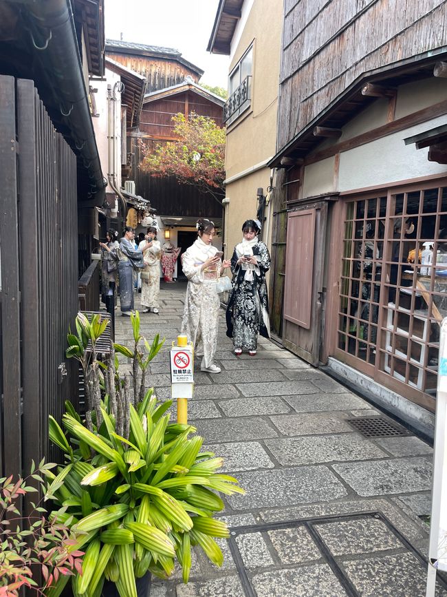 Fake Geishas