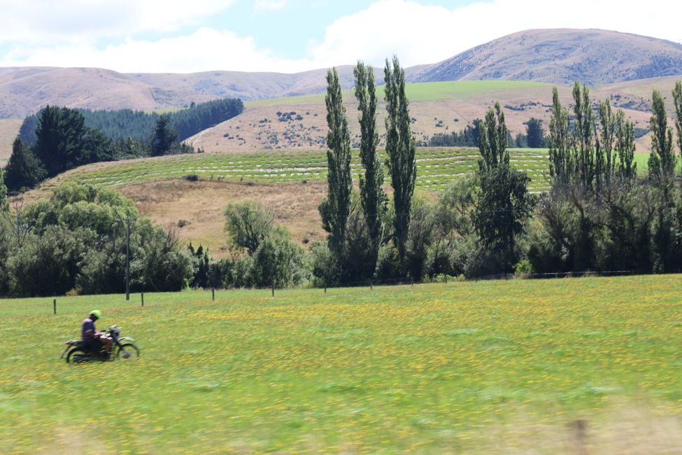 Überführungsfahrt CHC - Wanaka